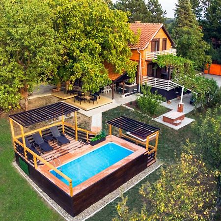 Villa Dijana - Pool, Spa, Outdoor Kitchen Beograd Eksteriør bilde