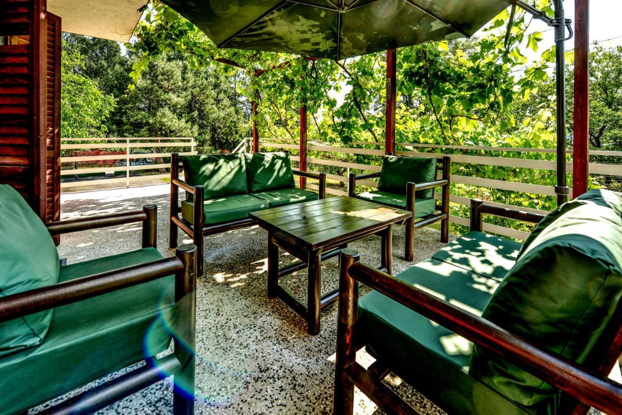 Villa Dijana - Pool, Spa, Outdoor Kitchen Beograd Eksteriør bilde